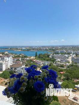 1-к квартира, на длительный срок, 49м2, 10/13 этаж