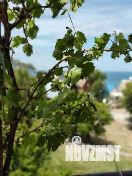 Студия квартира, посуточно, 29м2, 3/4 этаж