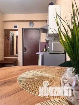 Студия квартира, посуточно, 25м2, 1/3 этаж