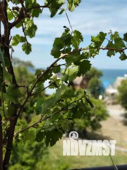 Студия квартира, посуточно, 29м2, 3/4 этаж