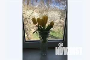 1-к квартира, посуточно, 40м2, 2/2 этаж