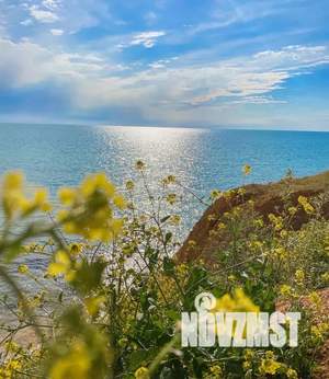 Студия квартира, посуточно, 18м2, 1/1 этаж