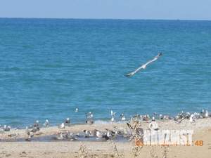 1-к квартира, посуточно, 18м2, 1/1 этаж