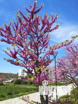 1-к квартира, посуточно, 25м2, 1/4 этаж