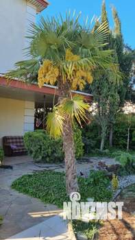 Студия квартира, на длительный срок, 25м2, 2/3 этаж