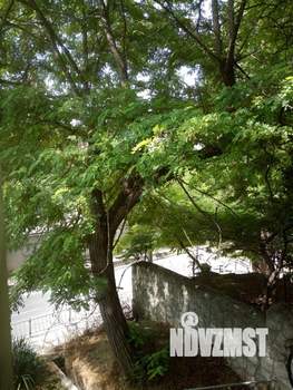 1-к квартира, на длительный срок, 23м2, 2/2 этаж