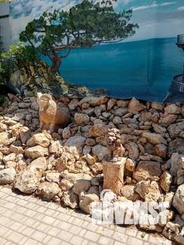 Студия квартира, посуточно, 18м2, 1/1 этаж