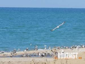 1-к квартира, посуточно, 18м2, 1/1 этаж