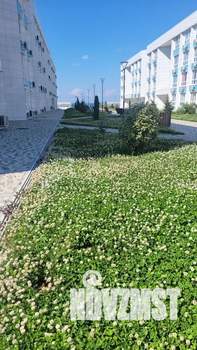 1-к квартира, посуточно, 26м2, 1/4 этаж