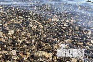 1-к квартира, посуточно, 25м2, 1/4 этаж