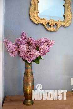 1-к квартира, посуточно, 30м2, 1/2 этаж