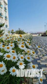 1-к квартира, посуточно, 25м2, 4/4 этаж