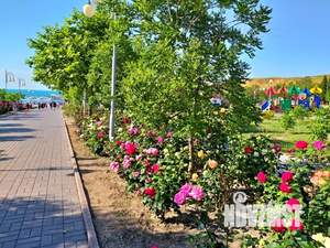 1-к квартира, посуточно, 35м2, 2/5 этаж