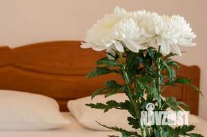 2-к квартира, посуточно, 55м2, 4/5 этаж