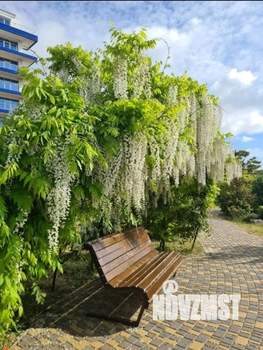 Студия квартира, на длительный срок, 35м2, 6/11 этаж