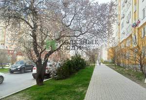1-к квартира, на длительный срок, 40м2, 8/10 этаж
