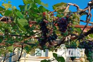 2-к квартира, посуточно, 40м2, 1/1 этаж