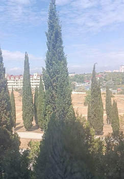 1-к квартира, вторичка, 65м2, 3/8 этаж