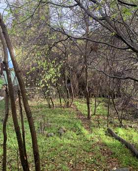 1-к квартира, вторичка, 29м2, 1/2 этаж