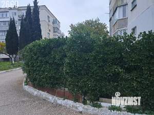 2-к квартира, вторичка, 54м2, 1/12 этаж