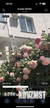 1-к квартира, вторичка, 41м2, 4/9 этаж
