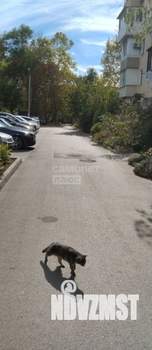 1-к квартира, вторичка, 31м2, 1/5 этаж