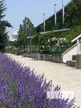 Студия квартира, вторичка, 18м2, 4/5 этаж