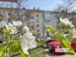 2-к квартира, вторичка, 45м2, 2/5 этаж