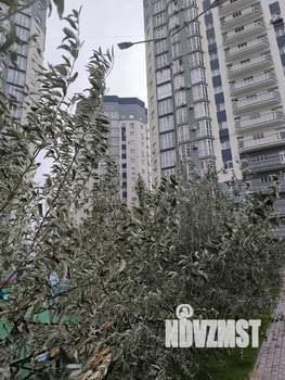 1-к квартира, вторичка, 44м2, 11/17 этаж