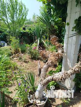 Студия квартира, вторичка, 33м2, 2/2 этаж