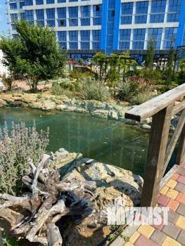 Студия квартира, вторичка, 29м2, 9/9 этаж