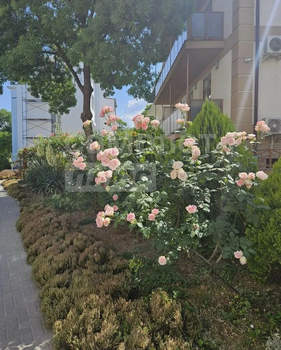 Студия квартира, вторичка, 20м2, 3/4 этаж