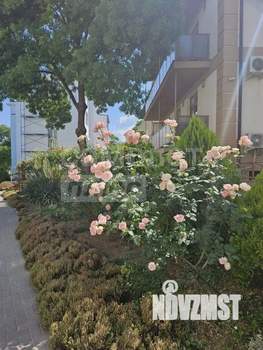 Студия квартира, вторичка, 20м2, 3/4 этаж