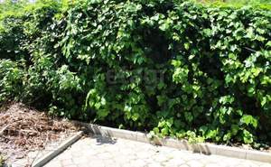 3-к квартира, вторичка, 74м2, 1/4 этаж