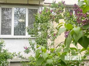 2-к квартира, вторичка, 43м2, 1/5 этаж