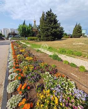 Фото квартиры на продажу (2)