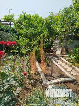 Студия квартира, вторичка, 33м2, 2/2 этаж