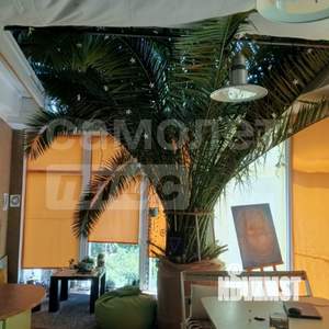 Студия квартира, вторичка, 50м2, 1/2 этаж