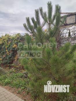 Студия квартира, вторичка, 18м2, 1/2 этаж