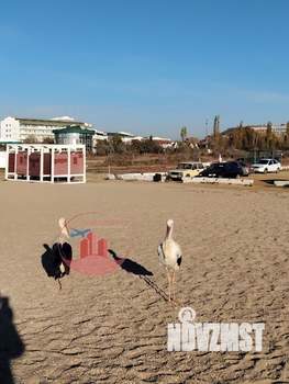 Студия квартира, вторичка, 18м2, 2/5 этаж