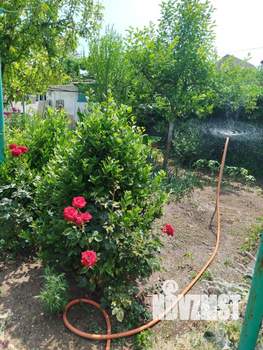 Студия квартира, вторичка, 33м2, 2/2 этаж