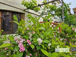 3-к квартира, вторичка, 86м2, 1/2 этаж