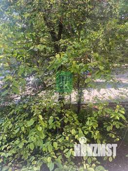 2-к квартира, вторичка, 35м2, 1/2 этаж