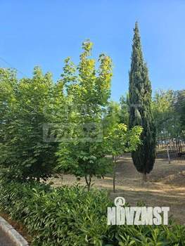 Студия квартира, вторичка, 20м2, 3/4 этаж