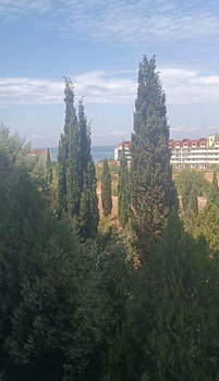 1-к квартира, вторичка, 65м2, 3/8 этаж
