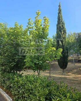 Студия квартира, вторичка, 20м2, 3/4 этаж