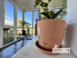 1-к квартира, вторичка, 31м2, 3/5 этаж