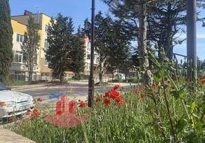 Фото квартиры на продажу (4)